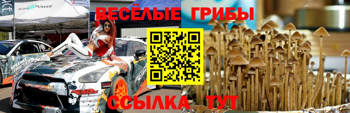 Псилоцибиновые грибы мицелий  Псилоцибиновые грибы Cubensis  Севастополь  цены   Вход с VPN 