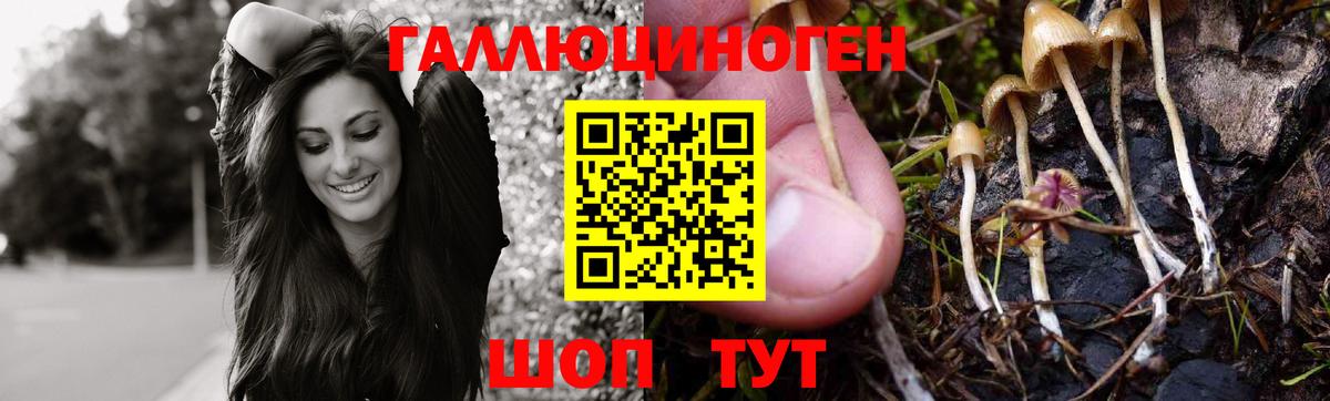 Псилоцибиновые грибы Psilocybe Севастополь